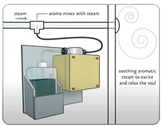 Aroma Diagram