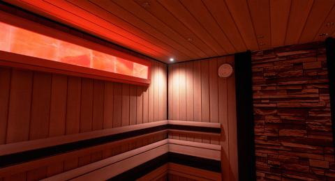 Sauna Room Himalayan Salt Light Fixture