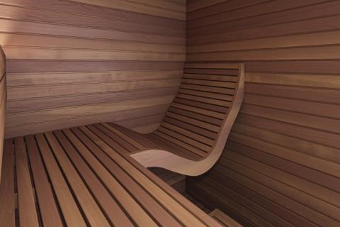 Steam Luxury Sauna Accessories Heat Treated Wood Sauna Shower