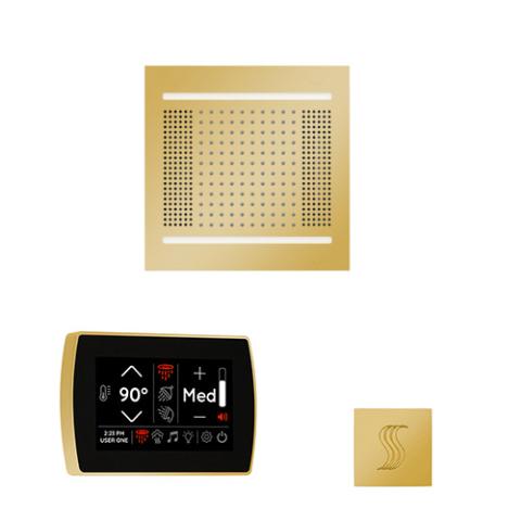 ThermaSol Wellness Steam Package - HydroVive 14 Rainhead + SignaTouch Control (Wall Mount) + Steam Head Kit (Square) WH14STPSR-PG Polished Gold