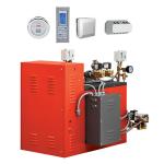 Delta 30kW Commercial Steam Generator Package