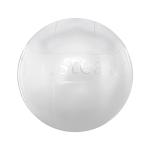 Mr.Steam Acrylic Shield 103985